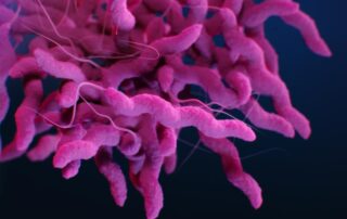 Campylobacter